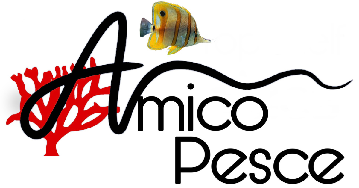 Amico Pesce, Negozio di acquari Catania - Blu Bios - Amico Pesce